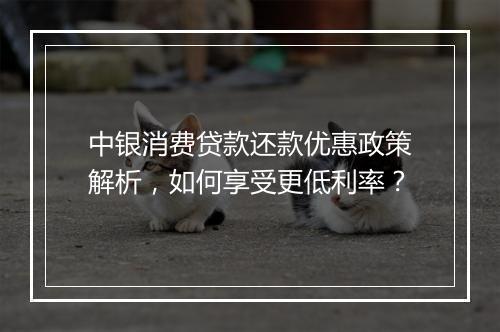 中银消费贷款还款优惠政策解析，如何享受更低利率？