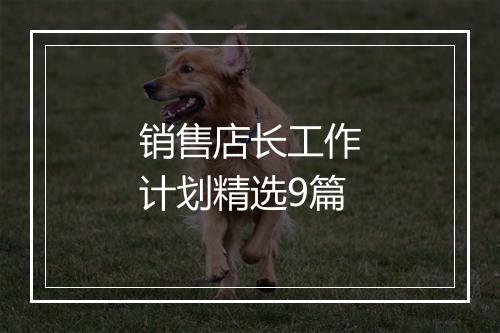 销售店长工作计划精选9篇