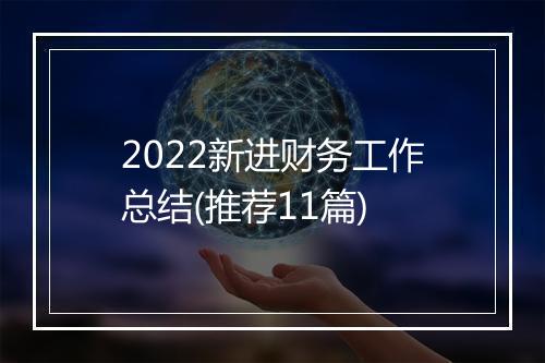 2022新进财务工作总结(推荐11篇)
