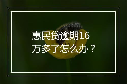 惠民贷逾期16万多了怎么办？
