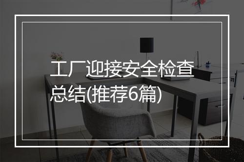 工厂迎接安全检查总结(推荐6篇)