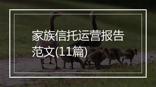 家族信托运营报告范文(11篇)