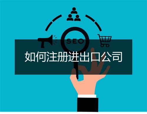 如何注册进出口公司