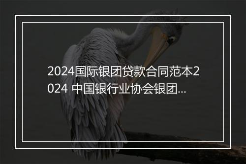 2024国际银团贷款合同范本2024 中国银行业协会银团贷款合同示范文本