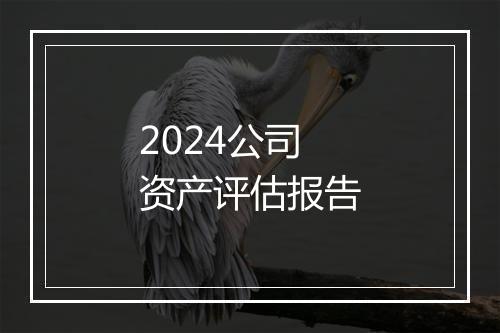2024公司资产评估报告