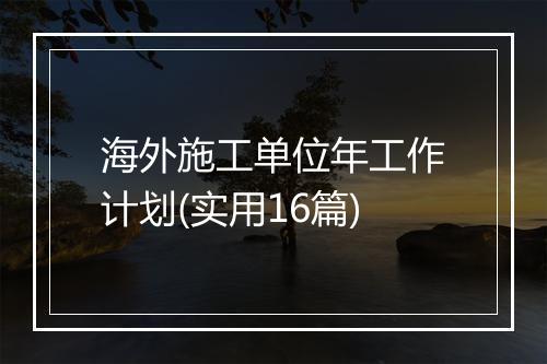 海外施工单位年工作计划(实用16篇)