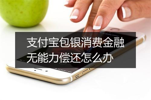 支付宝包银消费金融无能力偿还怎么办