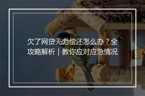 欠了网贷无力偿还怎么办？全攻略解析｜教你应对应急情况