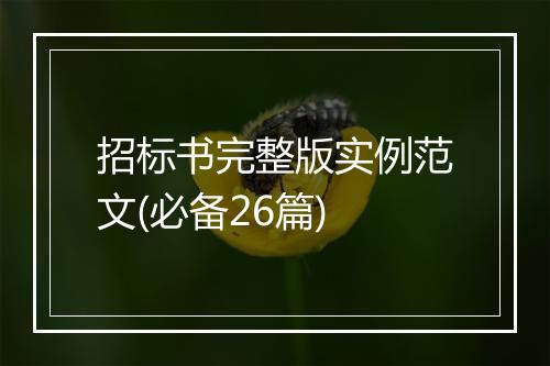 招标书完整版实例范文(必备26篇)