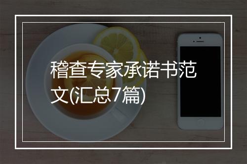 稽查专家承诺书范文(汇总7篇)