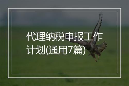 代理纳税申报工作计划(通用7篇)