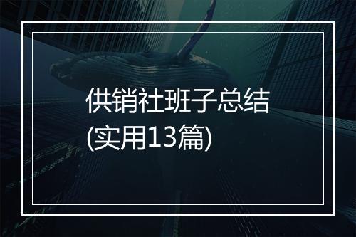 供销社班子总结(实用13篇)
