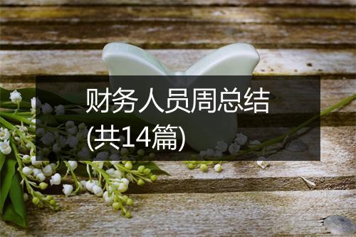 财务人员周总结(共14篇)