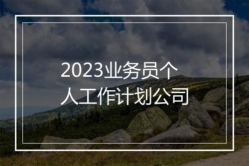 2023业务员个人工作计划公司