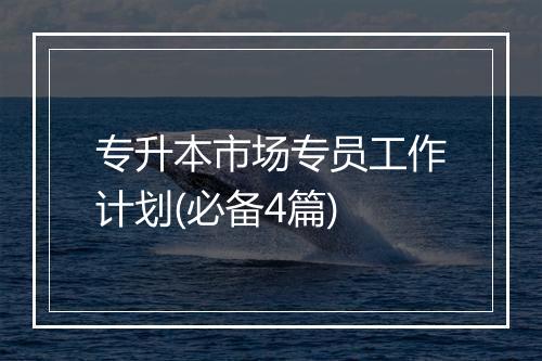 专升本市场专员工作计划(必备4篇)