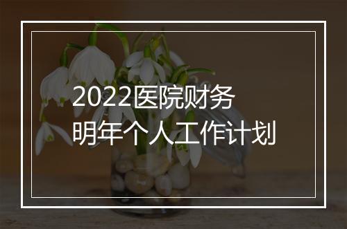 2022医院财务明年个人工作计划