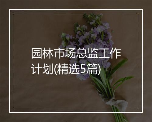 园林市场总监工作计划(精选5篇)