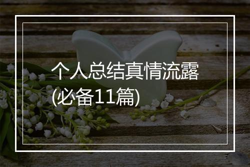 个人总结真情流露(必备11篇)
