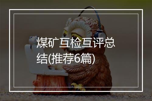 煤矿互检互评总结(推荐6篇)