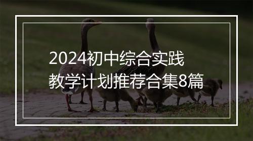 2024初中综合实践教学计划推荐合集8篇