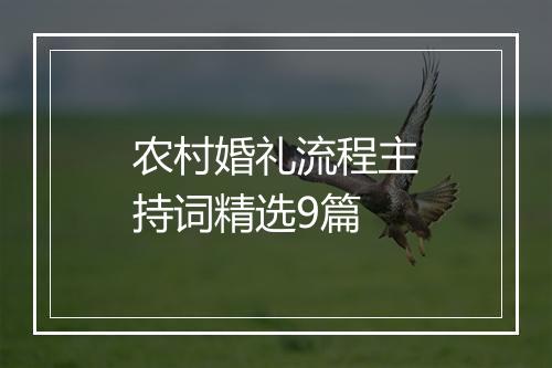农村婚礼流程主持词精选9篇