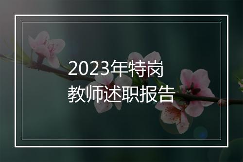 2023年特岗教师述职报告