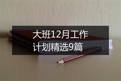 大班12月工作计划精选9篇