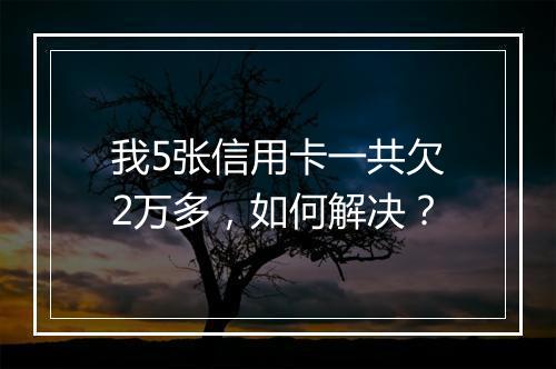 我5张信用卡一共欠2万多，如何解决？