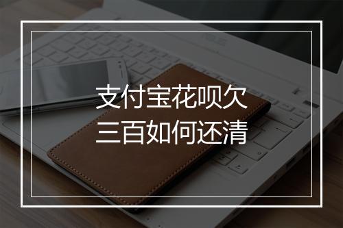 支付宝花呗欠三百如何还清
