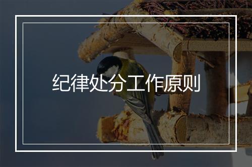 纪律处分工作原则