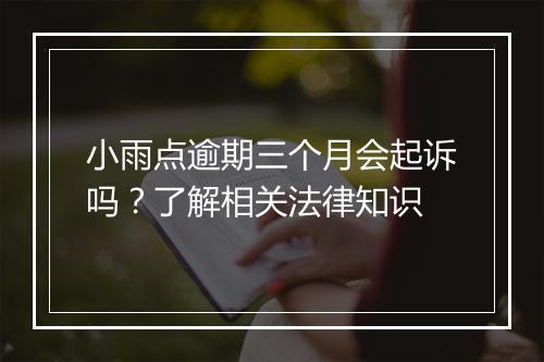 小雨点逾期三个月会起诉吗？了解相关法律知识