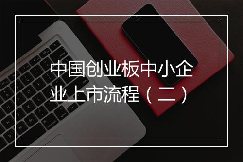 中国创业板中小企业上市流程（二）