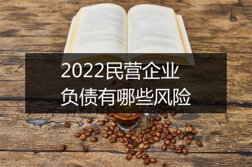 2022民营企业负债有哪些风险
