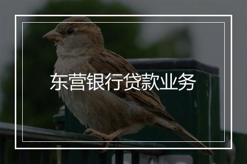 东营银行贷款业务