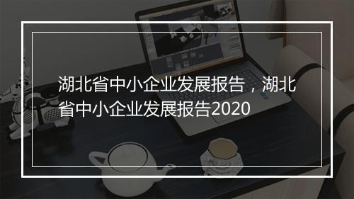 湖北省中小企业发展报告，湖北省中小企业发展报告2020