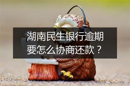湖南民生银行逾期要怎么协商还款？