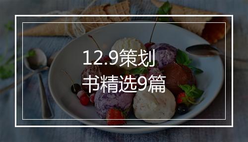 12.9策划书精选9篇