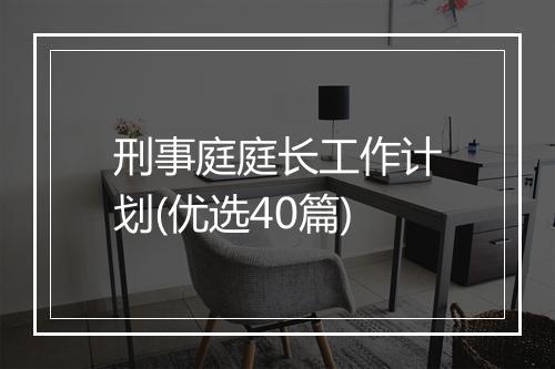 刑事庭庭长工作计划(优选40篇)