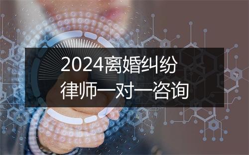 2024离婚纠纷律师一对一咨询