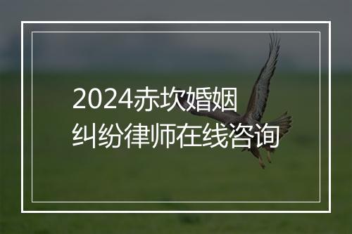2024赤坎婚姻纠纷律师在线咨询