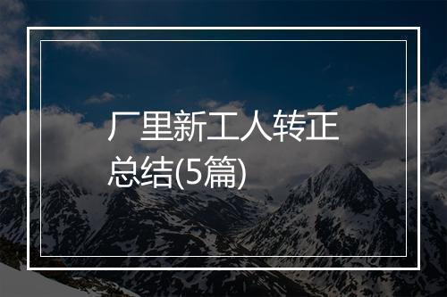 厂里新工人转正总结(5篇)