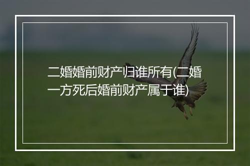 二婚婚前财产归谁所有(二婚一方死后婚前财产属于谁)