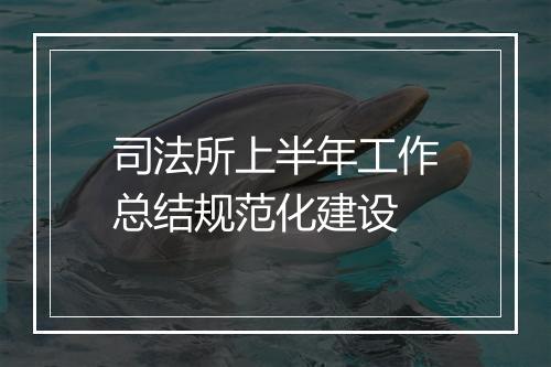 司法所上半年工作总结规范化建设
