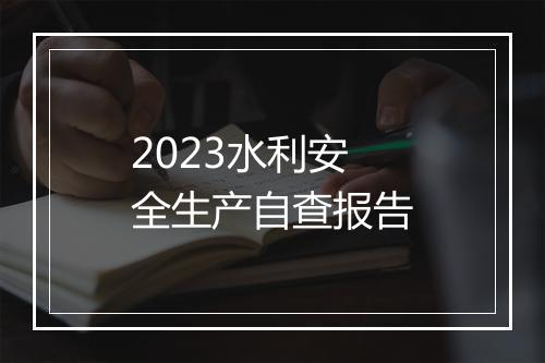 2023水利安全生产自查报告