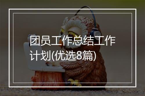 团员工作总结工作计划(优选8篇)
