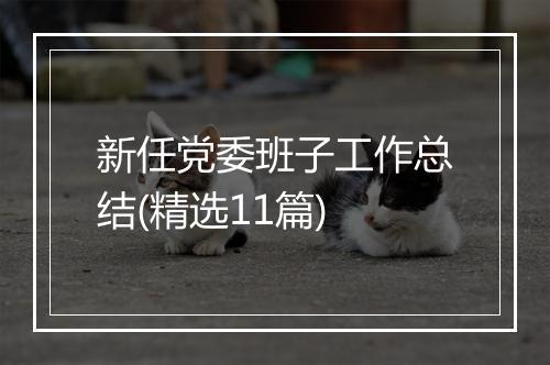 新任党委班子工作总结(精选11篇)