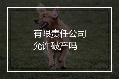 有限责任公司允许破产吗