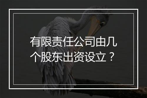 有限责任公司由几个股东出资设立？