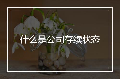 什么是公司存续状态