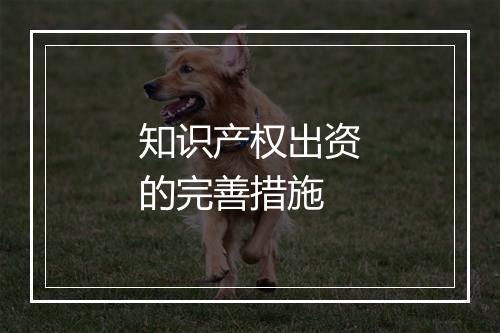 知识产权出资的完善措施